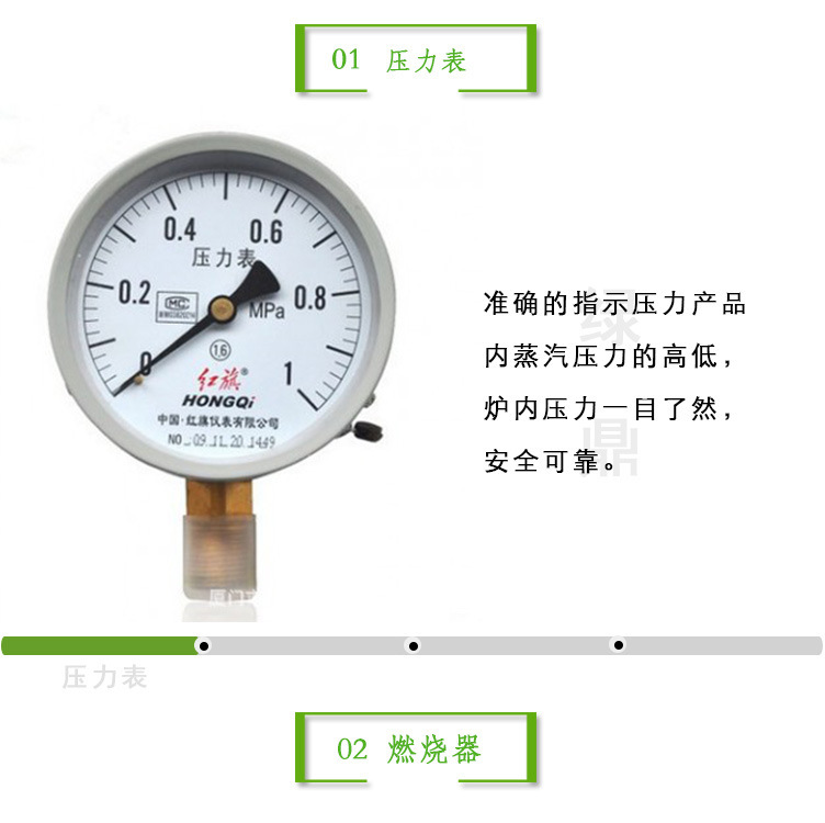 SZS200Q3燃?xì)馊加驼羝l(fā)生器詳情頁(yè)圖片