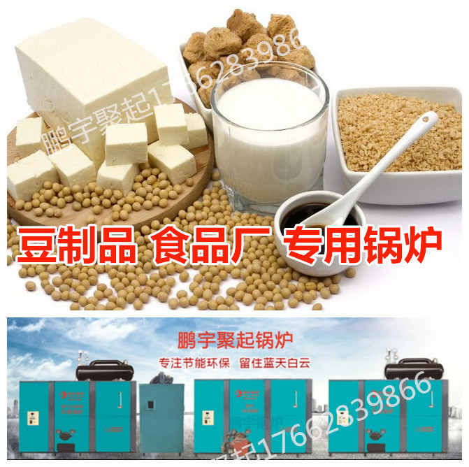 豆制品 食品廠專(zhuān)用生物質(zhì)鍋爐