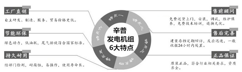 辛普發(fā)電機組6大特點